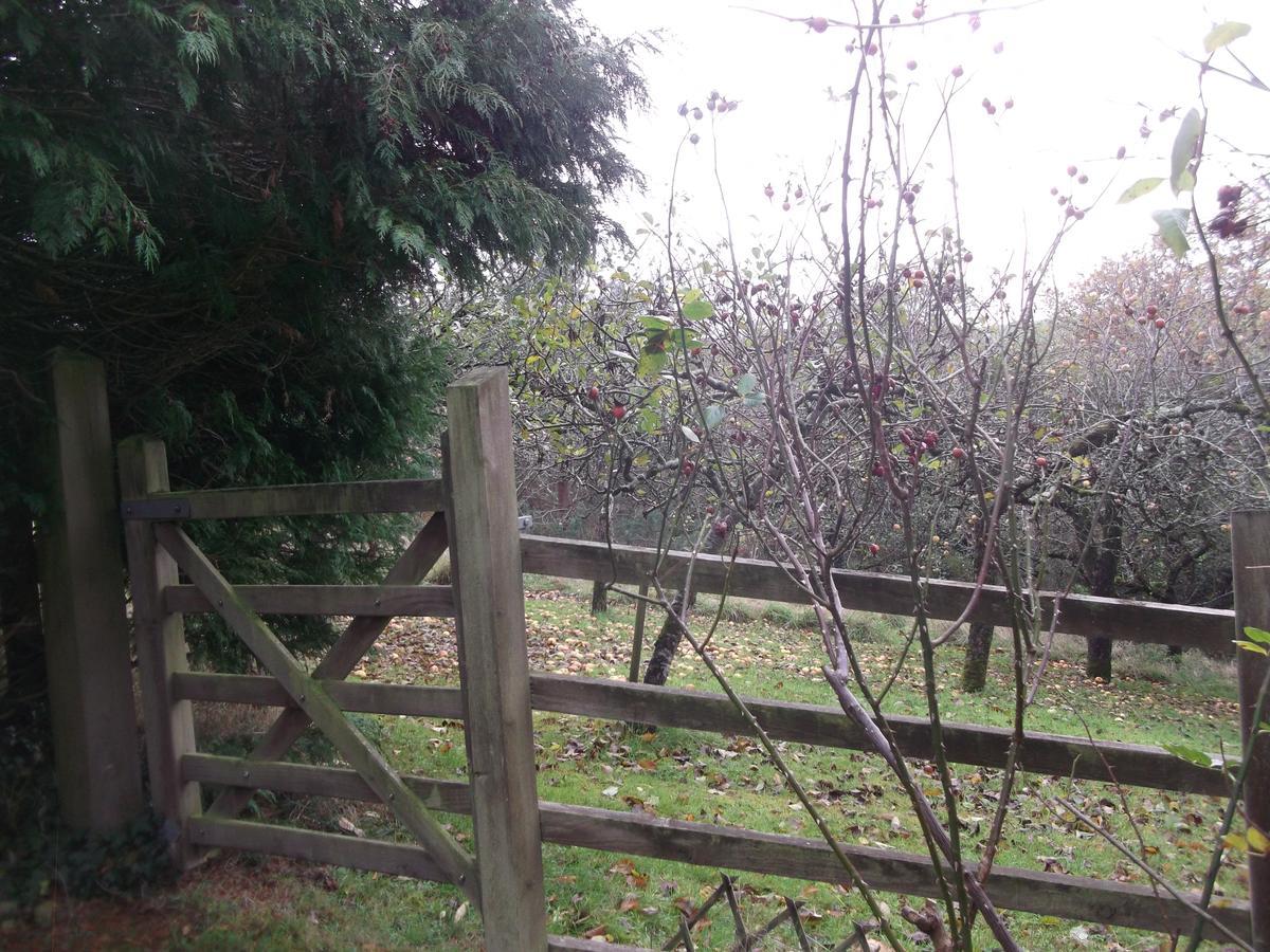 Bed and Breakfast Lowerfield House Lapford Exterior foto